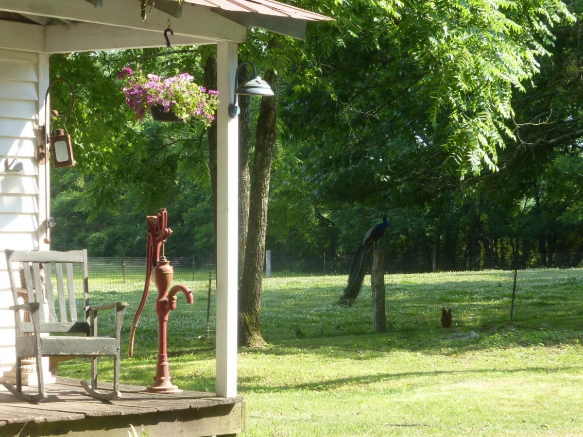 Mulberry Lavender Farm And B&B Exterior photo