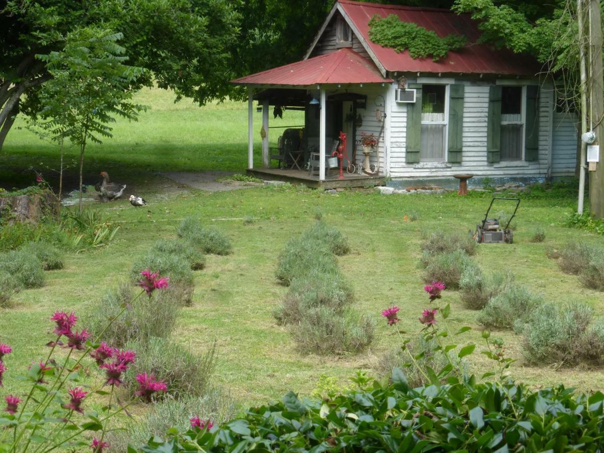 Mulberry Lavender Farm And B&B Exterior photo